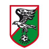 https://img.mi-park.com/img/football/team/e6a8908dd206e2ea02d9803c82c60bba.png